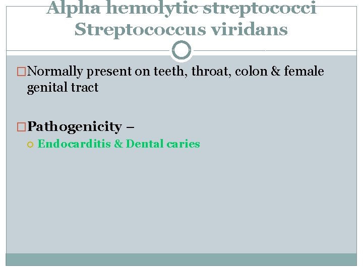 Alpha hemolytic streptococci Streptococcus viridans �Normally present on teeth, throat, colon & female genital