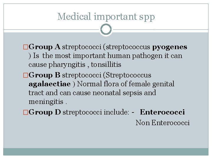 Medical important spp �Group A streptococci (streptococcus pyogenes ) Is the most important human