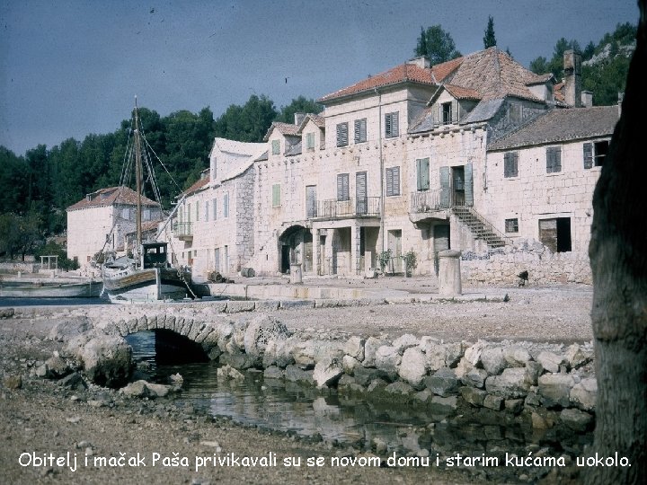 Obitelj i mačak Paša privikavali su se novom domu i starim kućama uokolo. 