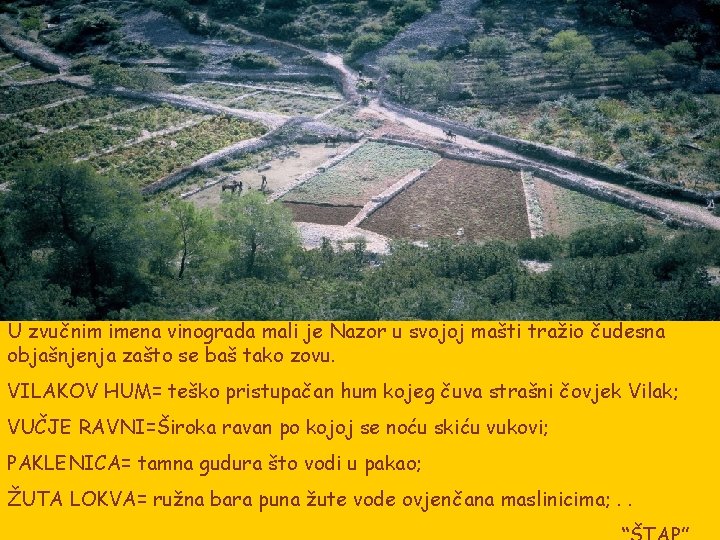 U zvučnim imena vinograda mali je Nazor u svojoj mašti tražio čudesna objašnjenja zašto