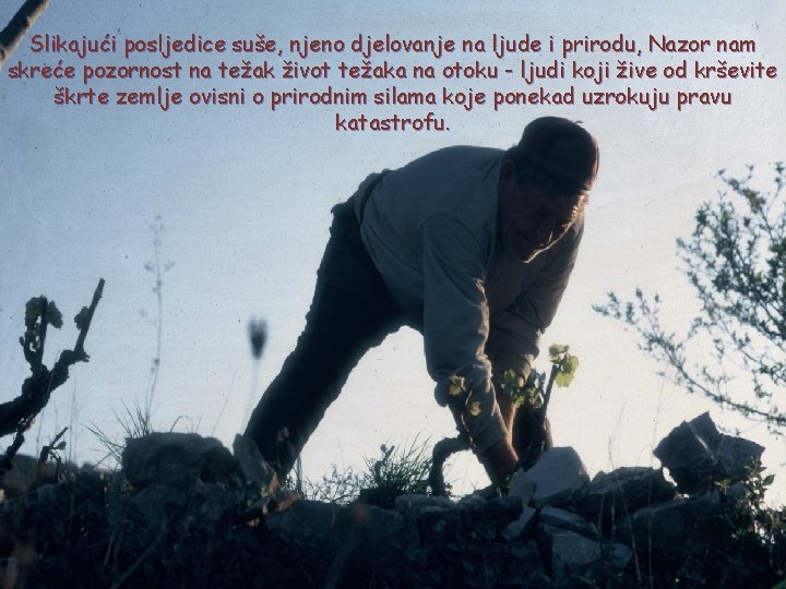 Slikajući posljedice suše, njeno djelovanje na ljude i prirodu, Nazor nam skreće pozornost na