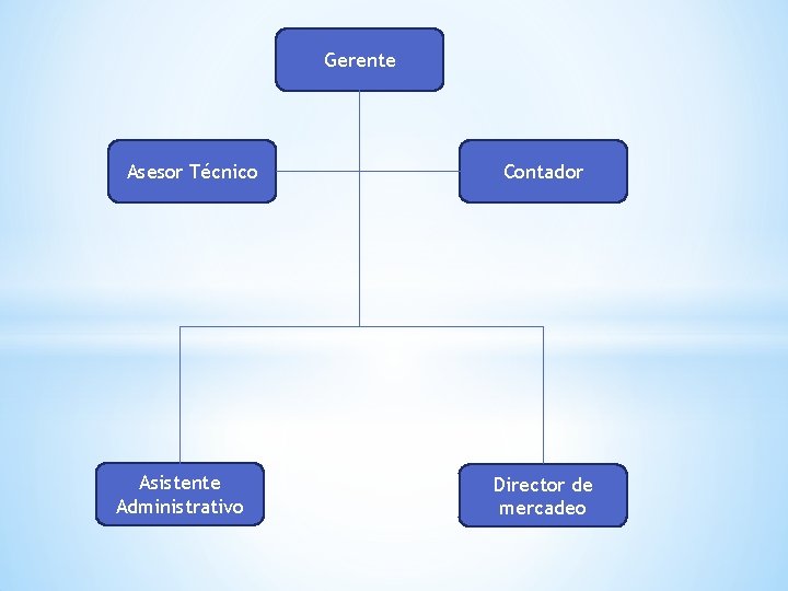 Gerente Asesor Técnico Asistente Administrativo Contador Director de mercadeo 