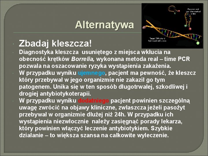 Alternatywa Zbadaj kleszcza! Diagnostyka kleszcza usuniętego z miejsca wkłucia na obecność krętków Borrelia, wykonana