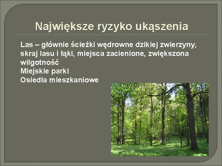 Największe ryzyko ukąszenia Las – głównie ścieżki wędrowne dzikiej zwierzyny, skraj lasu i łąki,