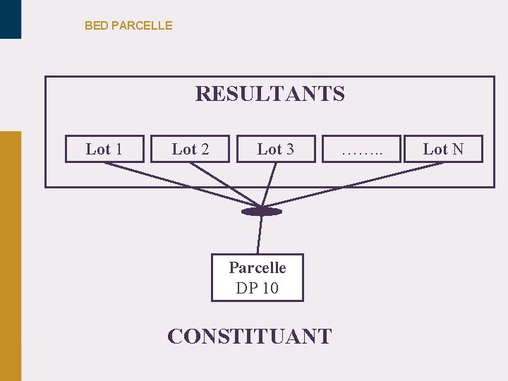 BED PARCELLE RESULTANTS Lot 1 Lot 2 Lot 3 Parcelle DP 10 CONSTITUANT …….