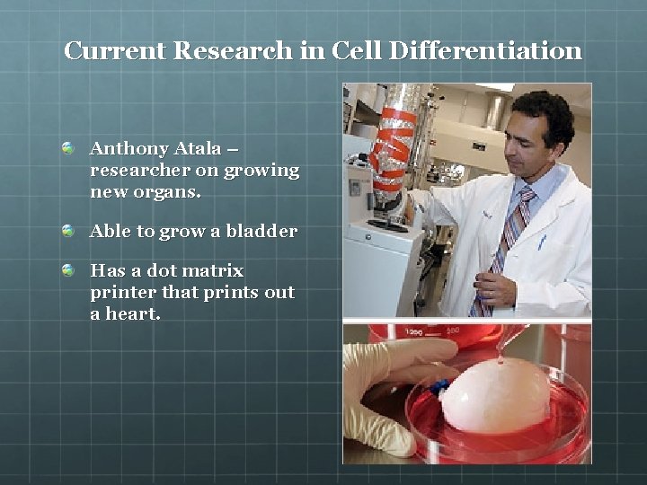Current Research in Cell Differentiation Anthony Atala – researcher on growing new organs. Able
