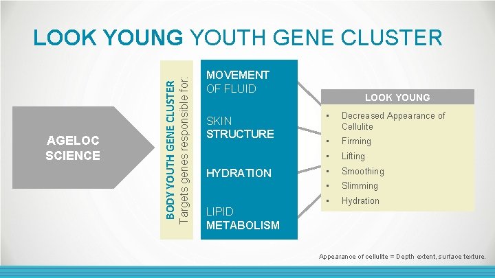 Targets genes responsible for: AGELOC SCIENCE BODY YOUTH GENE CLUSTER LOOK YOUNG YOUTH GENE