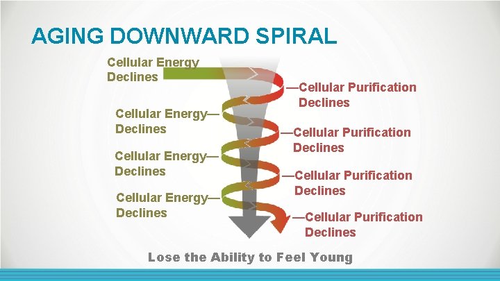 AGING DOWNWARD SPIRAL Cellular Energy Declines Cellular Energy— Declines —Cellular Purification Declines Lose the