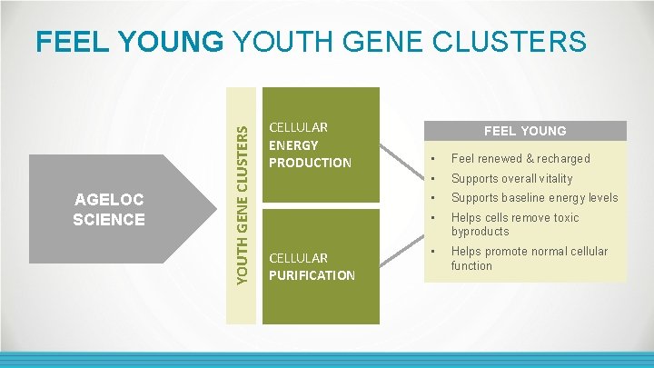 AGELOC SCIENCE YOUTH GENE CLUSTERS FEEL YOUNG YOUTH GENE CLUSTERS CELLULAR ENERGY PRODUCTION CELLULAR