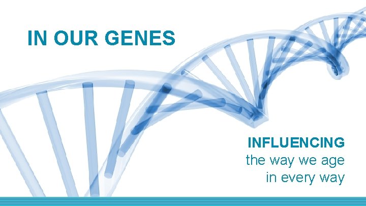 IN OUR GENES INFLUENCING the way we age in every way 