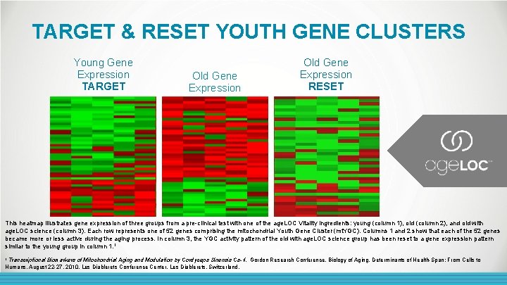 TARGET & RESET YOUTH GENE CLUSTERS Young Gene Expression TARGET Old Gene Expression RESET