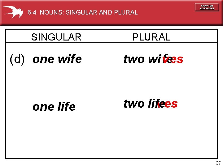 6 -4 NOUNS: SINGULAR AND PLURAL SINGULAR (d) one wife one life PLURAL two