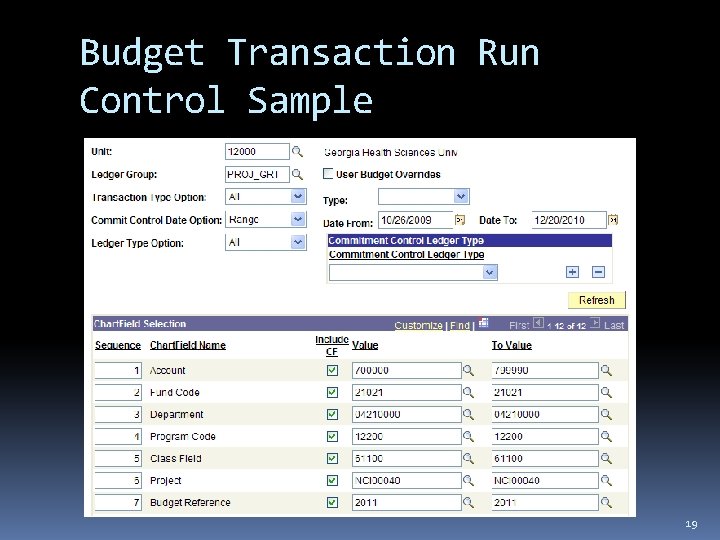 Budget Transaction Run Control Sample 19 