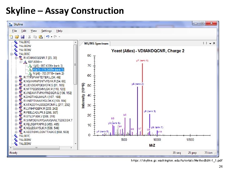 Skyline – Assay Construction https: //skyline. gs. washington. edu/tutorials/Method. Edit-1_1. pdf 24 
