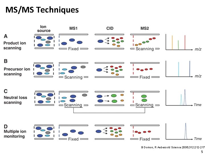 MS/MS Techniques B Domon, R Aebersold Science 2006; 312: 212 -217 5 