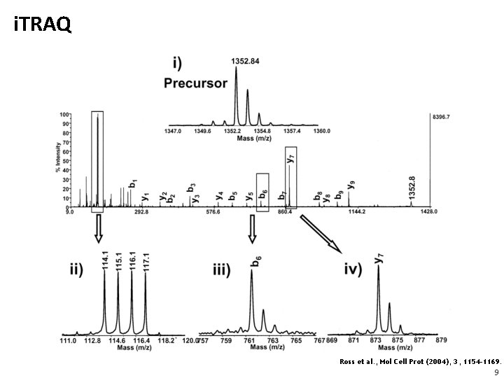 i. TRAQ Ross et al. , Mol Cell Prot (2004), 3, 1154 -1169. 9