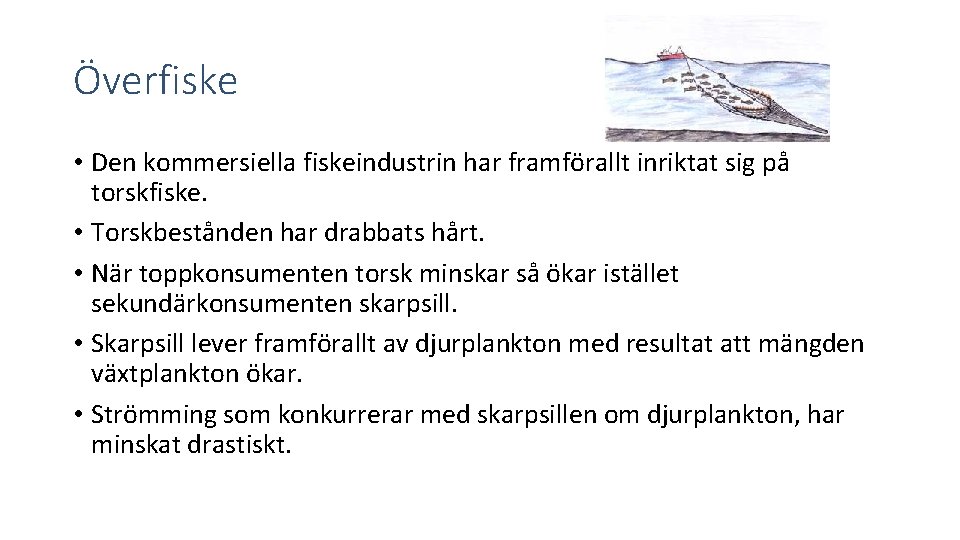 Överfiske • Den kommersiella fiskeindustrin har framförallt inriktat sig på torskfiske. • Torskbestånden har