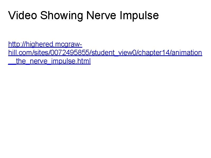 Video Showing Nerve Impulse http: //highered. mcgrawhill. com/sites/0072495855/student_view 0/chapter 14/animation __the_nerve_impulse. html 