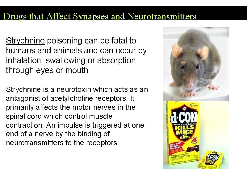 Drugs that Affect Synapses and Neurotransmitters Strychnine poisoning can be fatal to humans and
