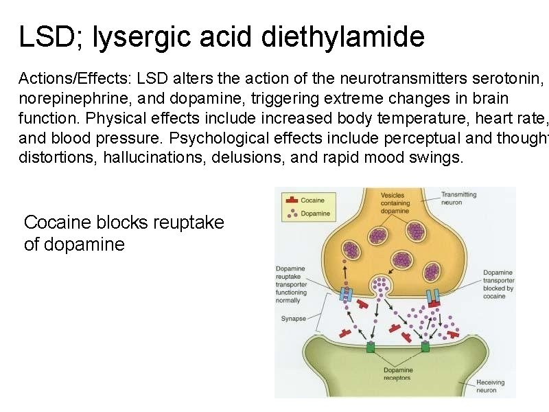 LSD; lysergic acid diethylamide Actions/Effects: LSD alters the action of the neurotransmitters serotonin, norepinephrine,