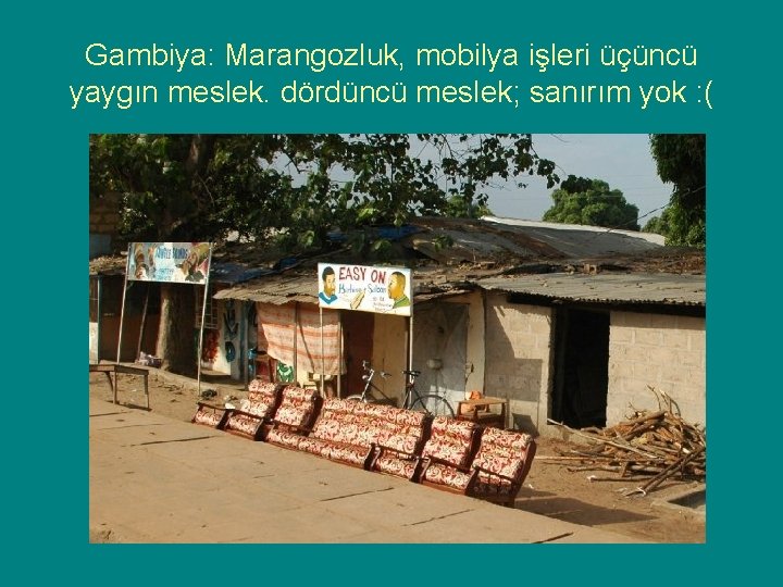 Gambiya: Marangozluk, mobilya işleri üçüncü yaygın meslek. dördüncü meslek; sanırım yok : ( 