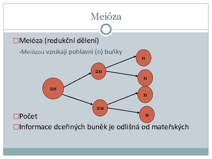 Meióza �Meióza (redukční dělení) -Meiózou vznikají pohlavní (n) buňky n 2 n �Počet n