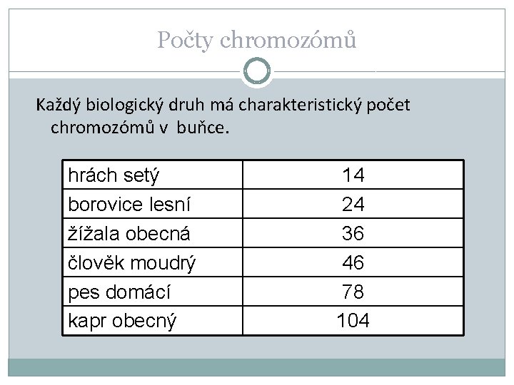 Počty chromozómů Každý biologický druh má charakteristický počet chromozómů v buňce. hrách setý borovice