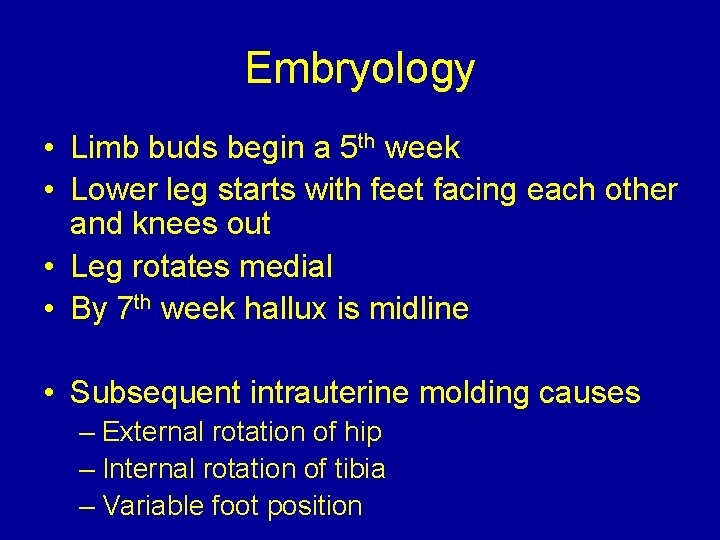 Embryology • Limb buds begin a 5 th week • Lower leg starts with