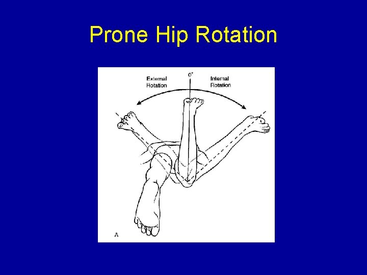 Prone Hip Rotation 