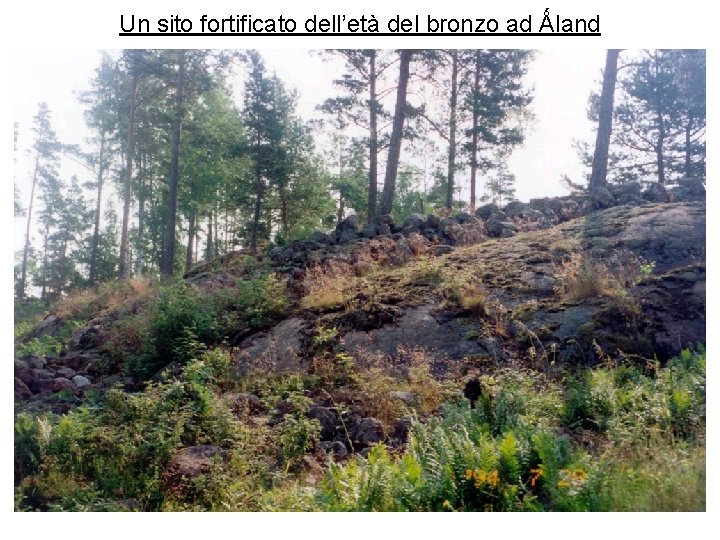 Un sito fortificato dell’età del bronzo ad Ǻland 