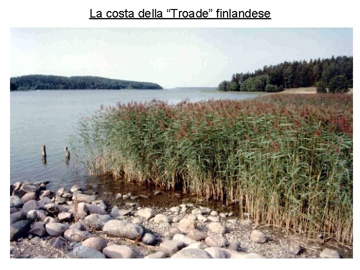 La costa della “Troade” finlandese 