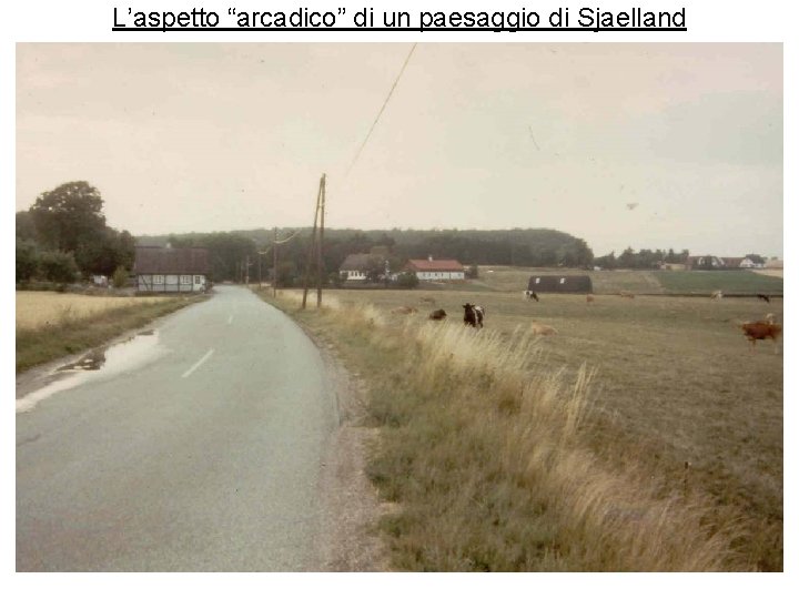 L’aspetto “arcadico” di un paesaggio di Sjaelland 
