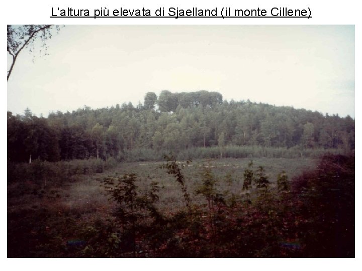 L’altura più elevata di Sjaelland (il monte Cillene) 