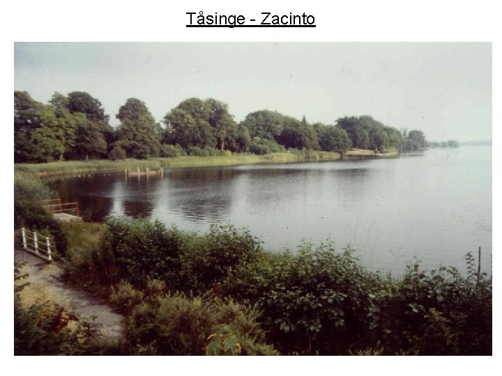 Tåsinge - Zacinto 