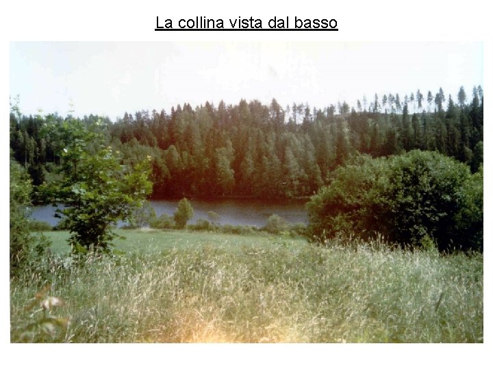 La collina vista dal basso 