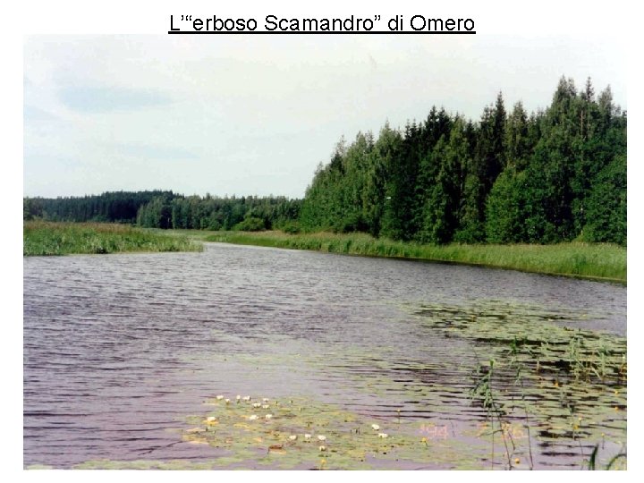 L’“erboso Scamandro” di Omero 