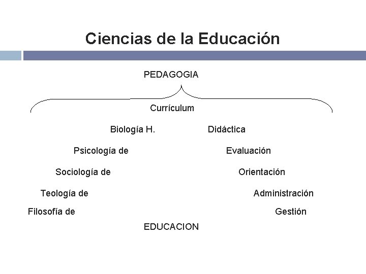 Ciencias de la Educación PEDAGOGIA Currículum Biología H. Psicología de Didáctica Evaluación Orientación Sociología