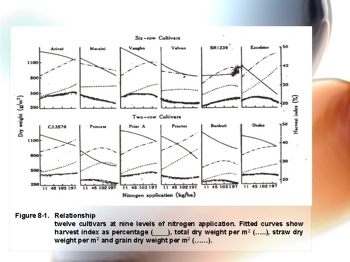Figure 8 -1. Relationship twelve cultivars at nine levels of nitrogen application. Fitted curves