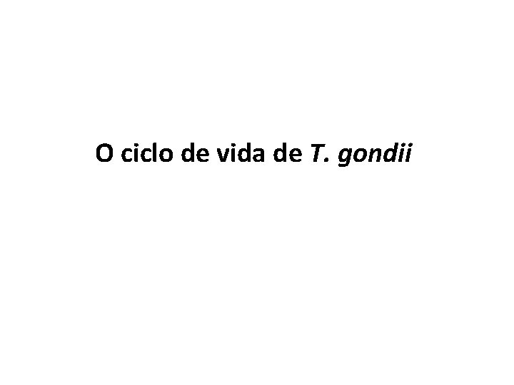 O ciclo de vida de T. gondii 