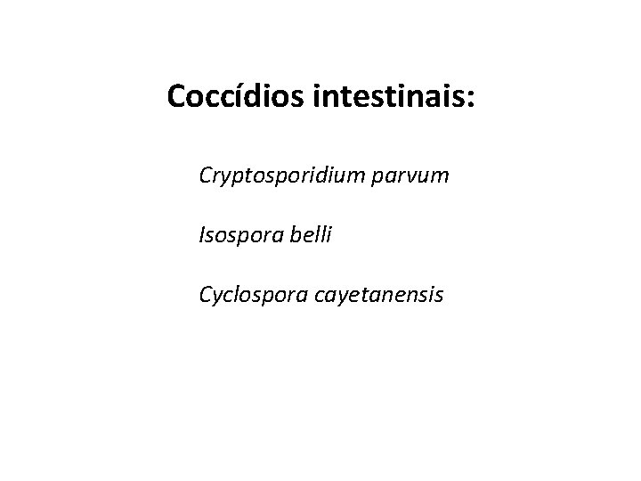 Coccídios intestinais: Cryptosporidium parvum Isospora belli Cyclospora cayetanensis 