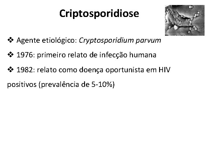 Criptosporidiose v Agente etiológico: Cryptosporidium parvum v 1976: primeiro relato de infecção humana v
