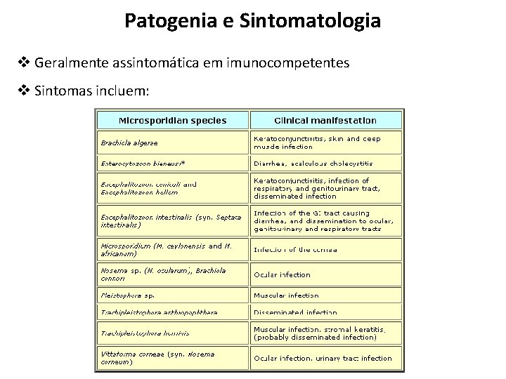 Patogenia e Sintomatologia v Geralmente assintomática em imunocompetentes v Sintomas incluem: 