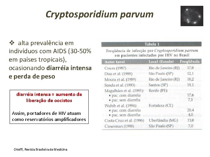 Cryptosporidium parvum v alta prevalência em indivíduos com AIDS (30 -50% em países tropicais),