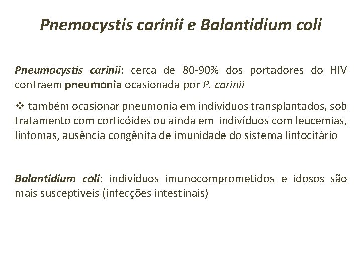 Pnemocystis carinii e Balantidium coli Pneumocystis carinii: cerca de 80 -90% dos portadores do