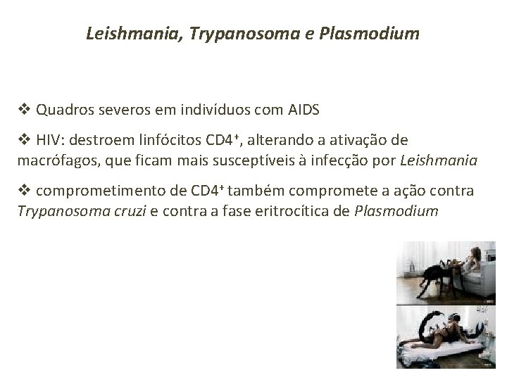 Leishmania, Trypanosoma e Plasmodium v Quadros severos em indivíduos com AIDS v HIV: destroem