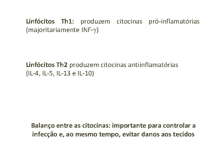 Linfócitos Th 1: produzem citocinas pró-inflamatórias (majoritariamente INF-g) Linfócitos Th 2 produzem citocinas antiinflamatórias