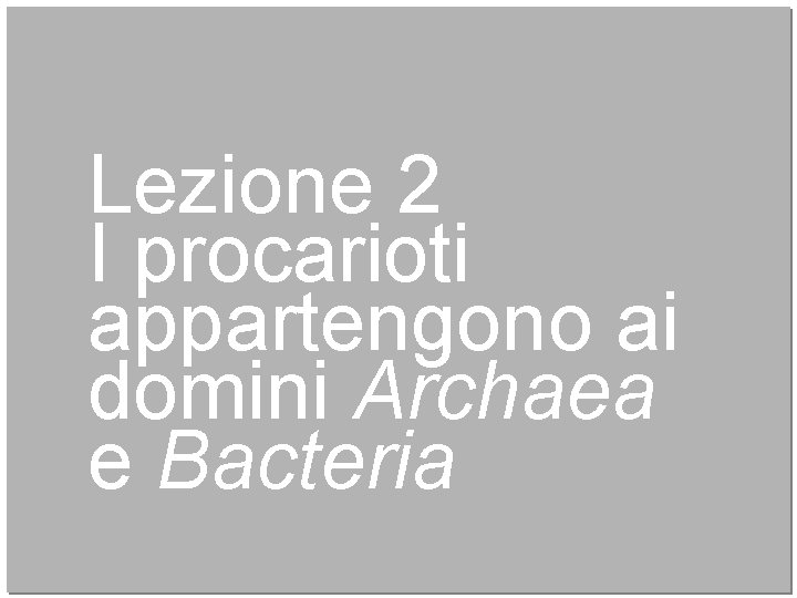 Lezione 2 I procarioti appartengono ai domini Archaea e Bacteria 