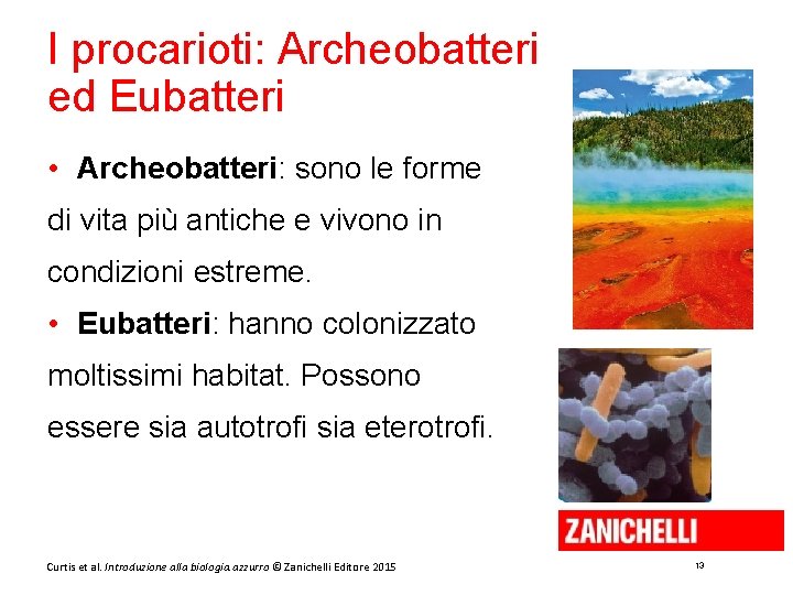 I procarioti: Archeobatteri ed Eubatteri • Archeobatteri: sono le forme di vita più antiche