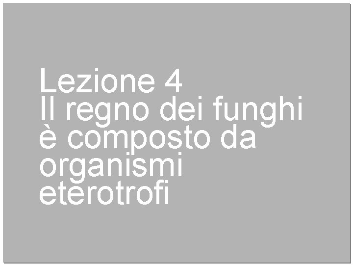 Lezione 4 Il regno dei funghi è composto da organismi eterotrofi 