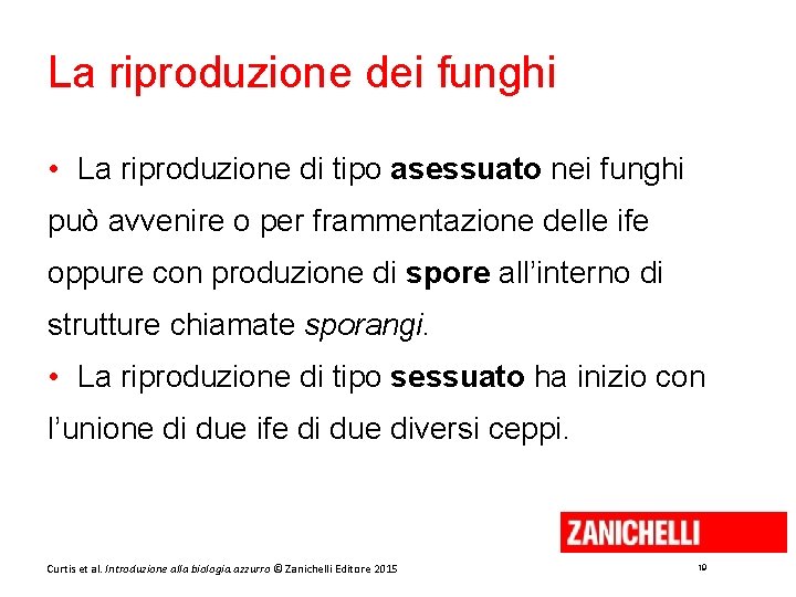 La riproduzione dei funghi • La riproduzione di tipo asessuato nei funghi può avvenire